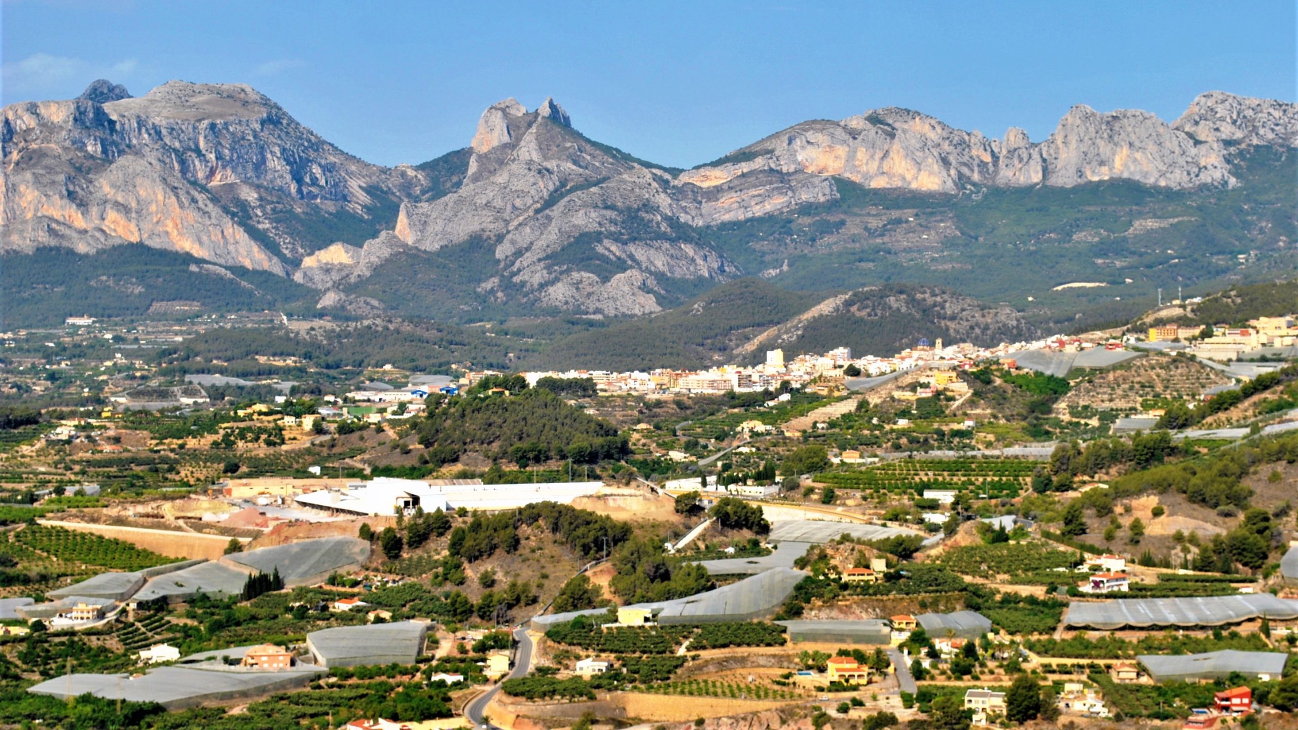 Imagen recurs Callosa